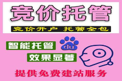 电商信息流广告案例深度剖析